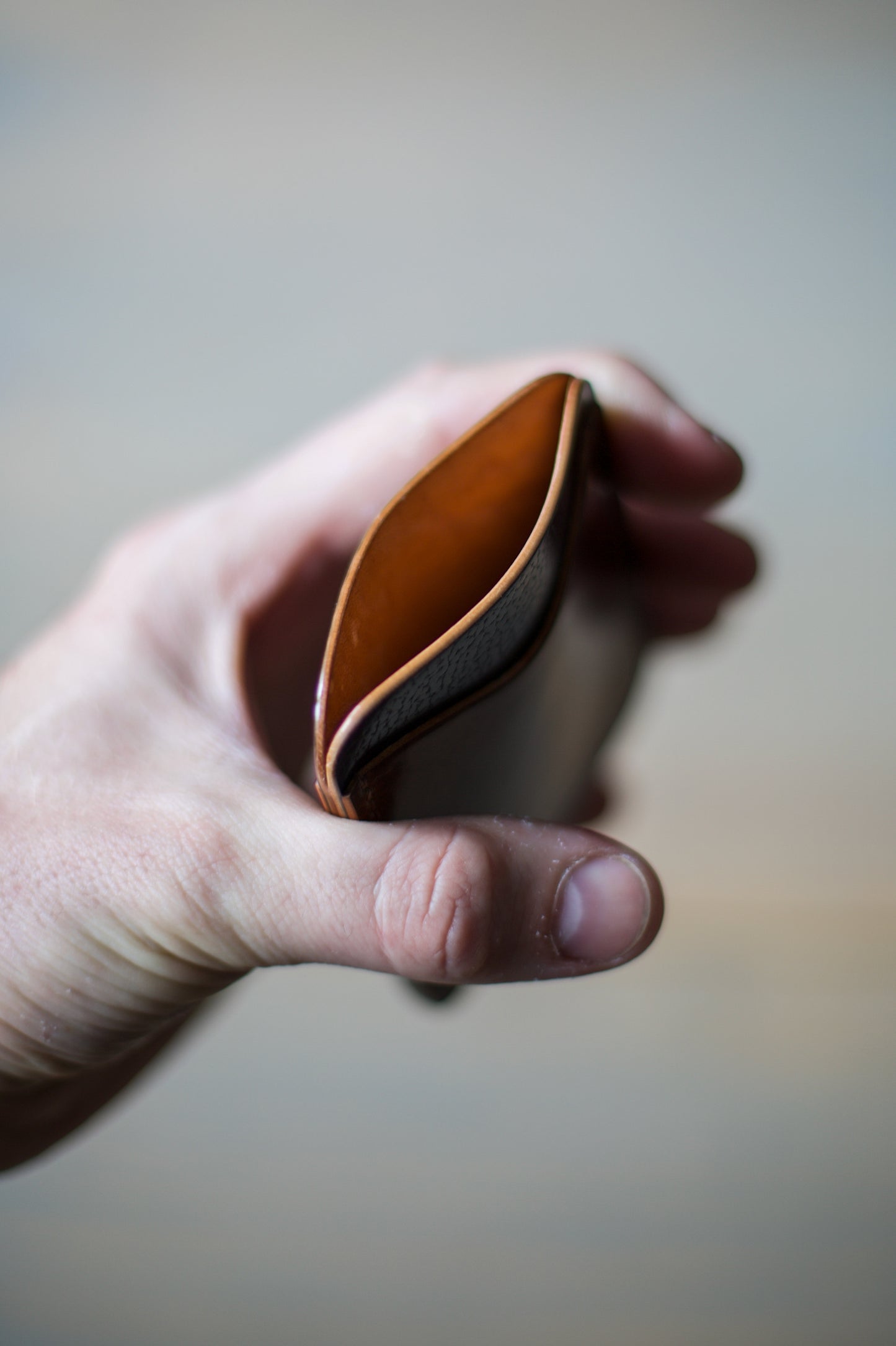 3 POCKET CARDHOLDER (marbled brown/ blue shell cordovan leather)