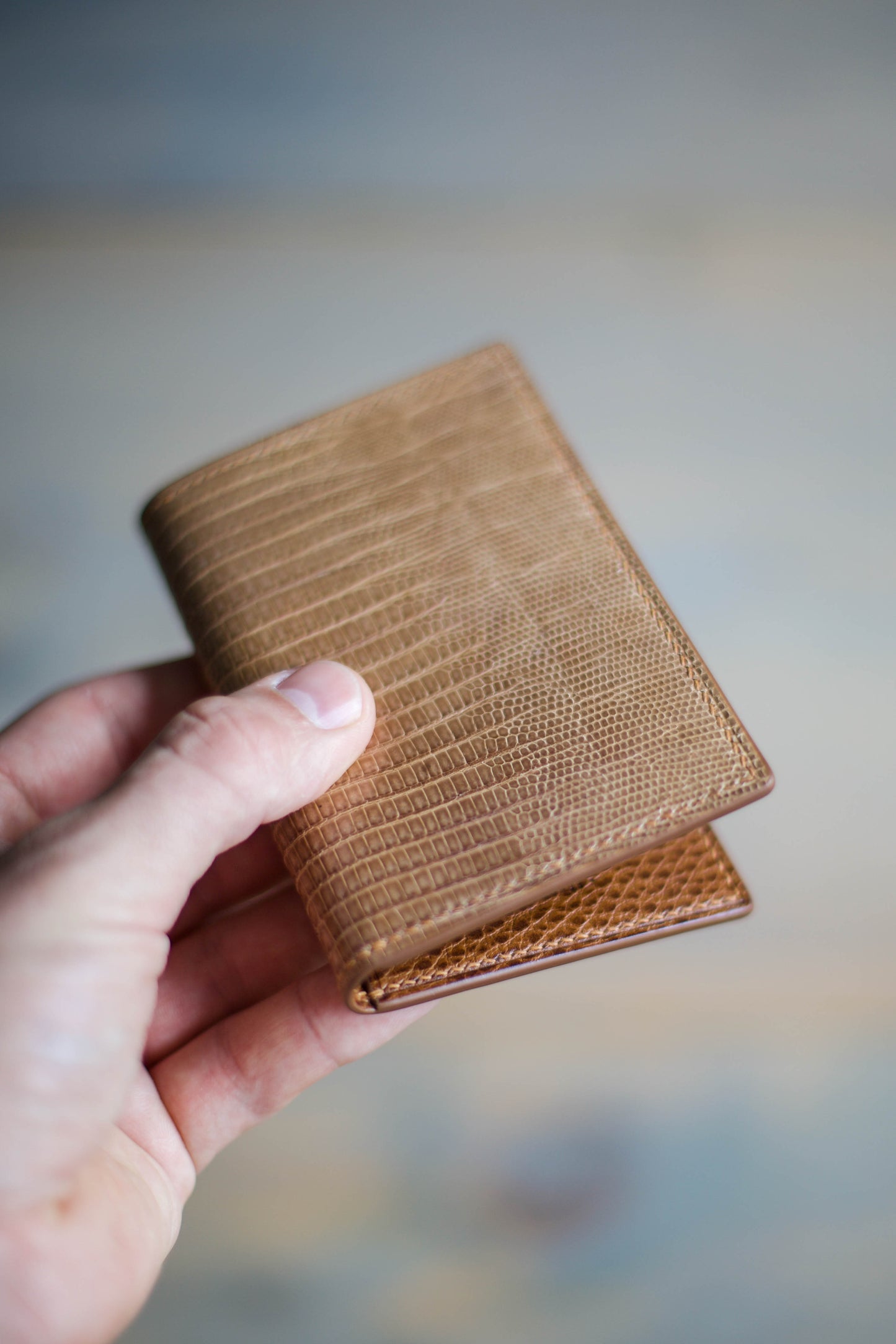 6 SLOT BIFOLD (whiskey dollaro/ natural lizard leather)